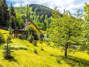 Prodej chalupy, Desná, Krkonošská, 380 m2