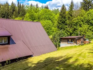 Prodej chalupy, Desná, Krkonošská, 380 m2