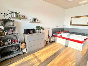 Pronájem bytu 2+kk, Brno, Křenová, 72 m2