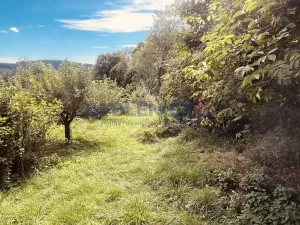 Prodej rodinného domu, Černá v Pošumaví, 190 m2