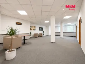 Pronájem kanceláře, Ústí nad Orlicí, T. G. Masaryka, 38 m2