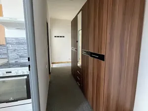 Pronájem bytu 1+1, Doudleby nad Orlicí, U Bažantnice, 42 m2