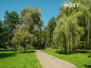 Pronájem bytu 1+kk, Česká Lípa, Roháče z Dubé, 28 m2
