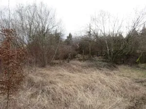 Dražba rodinného domu, Bílichov, 10 m2