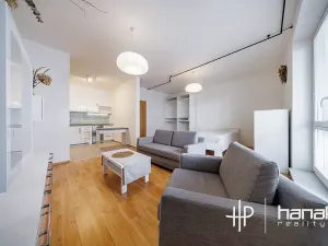 Pronájem bytu 1+kk, Olomouc, Mošnerova, 42 m2