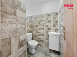 Prodej rodinného domu, Blšany u Loun, 400 m2