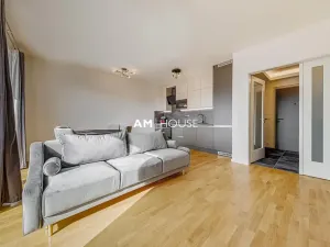 Pronájem bytu 2+kk, Praha - Vinohrady, Perucká, 60 m2