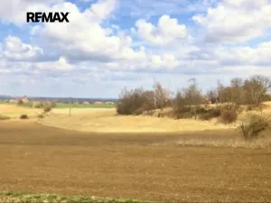 Prodej pole, Číčovice, 6121 m2