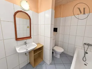 Pronájem bytu 2+kk, Planá nad Lužnicí, Průmyslová, 62 m2