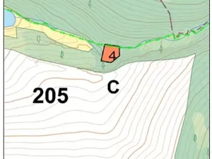 Prodej lesa, Hojovice, 985 m2