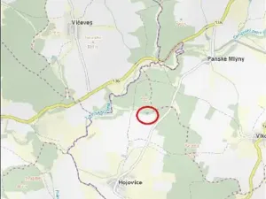 Prodej lesa, Hojovice, 985 m2