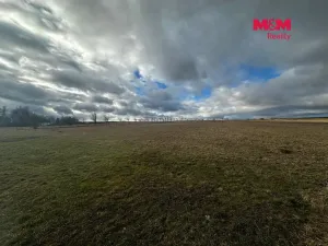Prodej pozemku pro bydlení, Větřkovice, 4806 m2