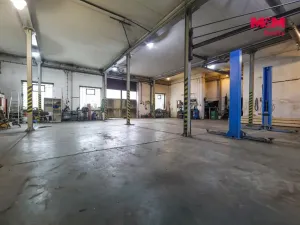 Prodej obchodního prostoru, Černošín, 1100 m2