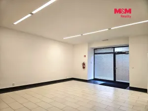 Prodej obchodního prostoru, Prostějov, Fanderlíkova, 59 m2