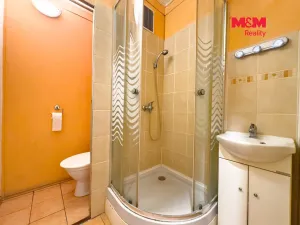 Prodej bytu 1+1, Ostrava - Výškovice, Lumírova, 40 m2