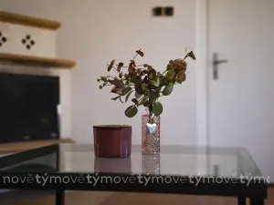 Prodej rodinného domu, Přelouč, Pražská, 250 m2