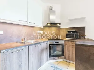 Prodej bytu 1+kk, Praha - Hloubětín, Nepelova, 29 m2