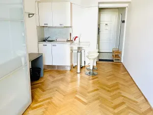 Pronájem bytu 1+kk, Praha - Žižkov, Fibichova, 25 m2