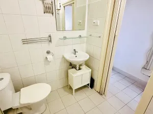 Pronájem bytu 1+kk, Praha - Žižkov, Fibichova, 25 m2