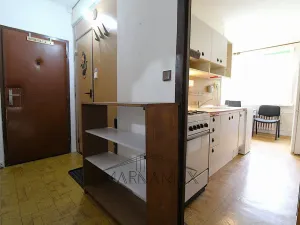 Prodej bytu 1+1, Jirkov, Krušnohorská, 41 m2