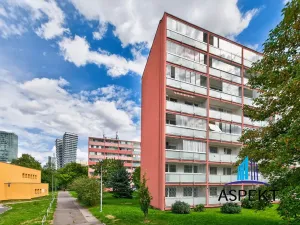 Pronájem bytu 1+kk, Praha - Podolí, Kaplická, 27 m2