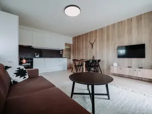 Prodej bytu 2+kk, Loučná pod Klínovcem, 57 m2