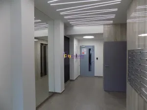 Pronájem bytu 1+kk, Praha - Hlubočepy, Vítové, 42 m2