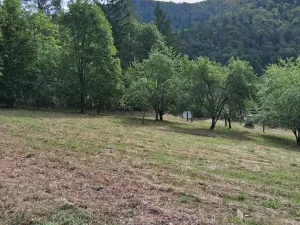 Prodej chaty, Štěchovice, 50 m2
