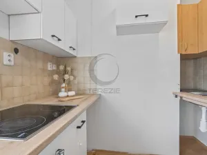 Prodej bytu 1+kk, Praha - Veleslavín, Na okraji, 25 m2