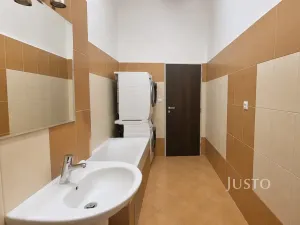 Pronájem bytu 3+kk, Písek, Pražská, 71 m2