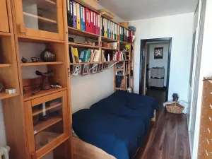 Prodej bytu 3+1, Praha - Žižkov, Buková, 73 m2