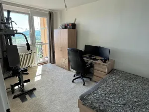 Prodej podílu bytu 1+1, Česká Lípa, Komenského, 45 m2