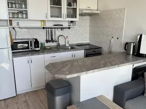 Prodej podílu bytu 1+1, Česká Lípa, Komenského, 45 m2