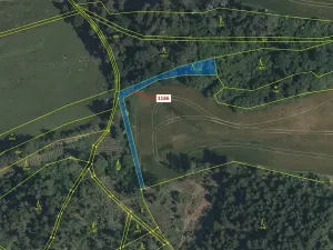 Dražba lesa, Volfířov, 557 m2