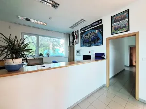 Pronájem obchodního prostoru, Tečovice, 890 m2