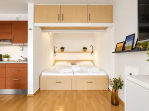 Prodej bytu 1+kk, Loučná pod Klínovcem, 33 m2