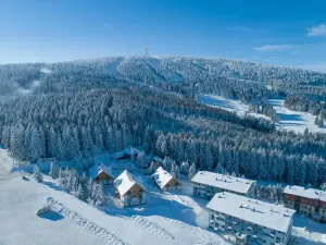 Prodej bytu 1+kk, Loučná pod Klínovcem, 33 m2