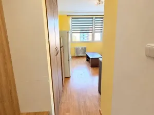 Pronájem bytu 1+1, Roudnice nad Labem, Bořivojova, 35 m2