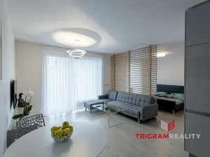 Pronájem bytu 2+kk, Hradec Králové - Nový Hradec Králové, Antonína Petrofa, 45 m2