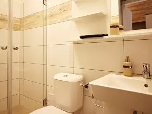 Pronájem bytu 1+kk, Brno, Koliště, 23 m2