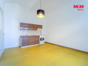 Pronájem bytu 2+1, Plzeň - Vnitřní Město, Rooseveltova, 81 m2