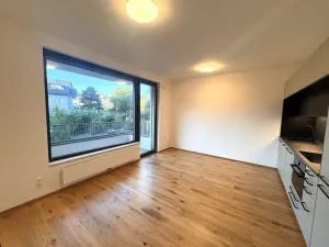 Pronájem bytu 2+kk, Praha - Nusle, Závišova, 41 m2