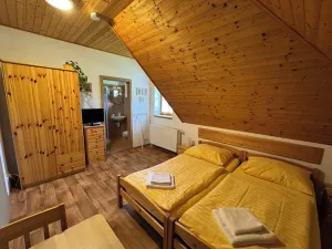 Prodej rodinného domu, Nové Hutě, 300 m2