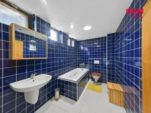 Prodej rodinného domu, Říčany - Pacov, V Chatách, 180 m2