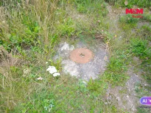 Prodej chaty, Družec, 21 m2