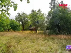 Prodej chaty, Družec, 21 m2