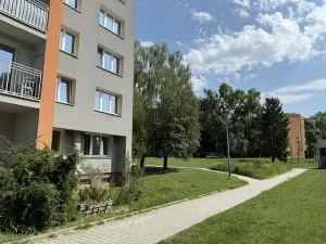 Prodej bytu 1+kk, Ostrava - Zábřeh, Petruškova, 30 m2