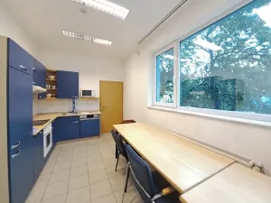Pronájem výrobních prostor, Tečovice, 706 m2