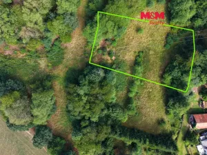 Prodej louky, Světlá nad Sázavou - Dolní Březinka, 1831 m2