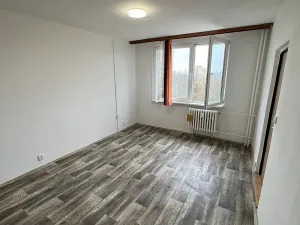 Prodej bytu 1+1, Litvínov, Tylova, 35 m2